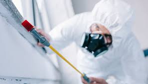 Best Pest Control for Multi-Family Homes  in St Marys, GA